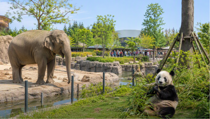 动物园 Zoo