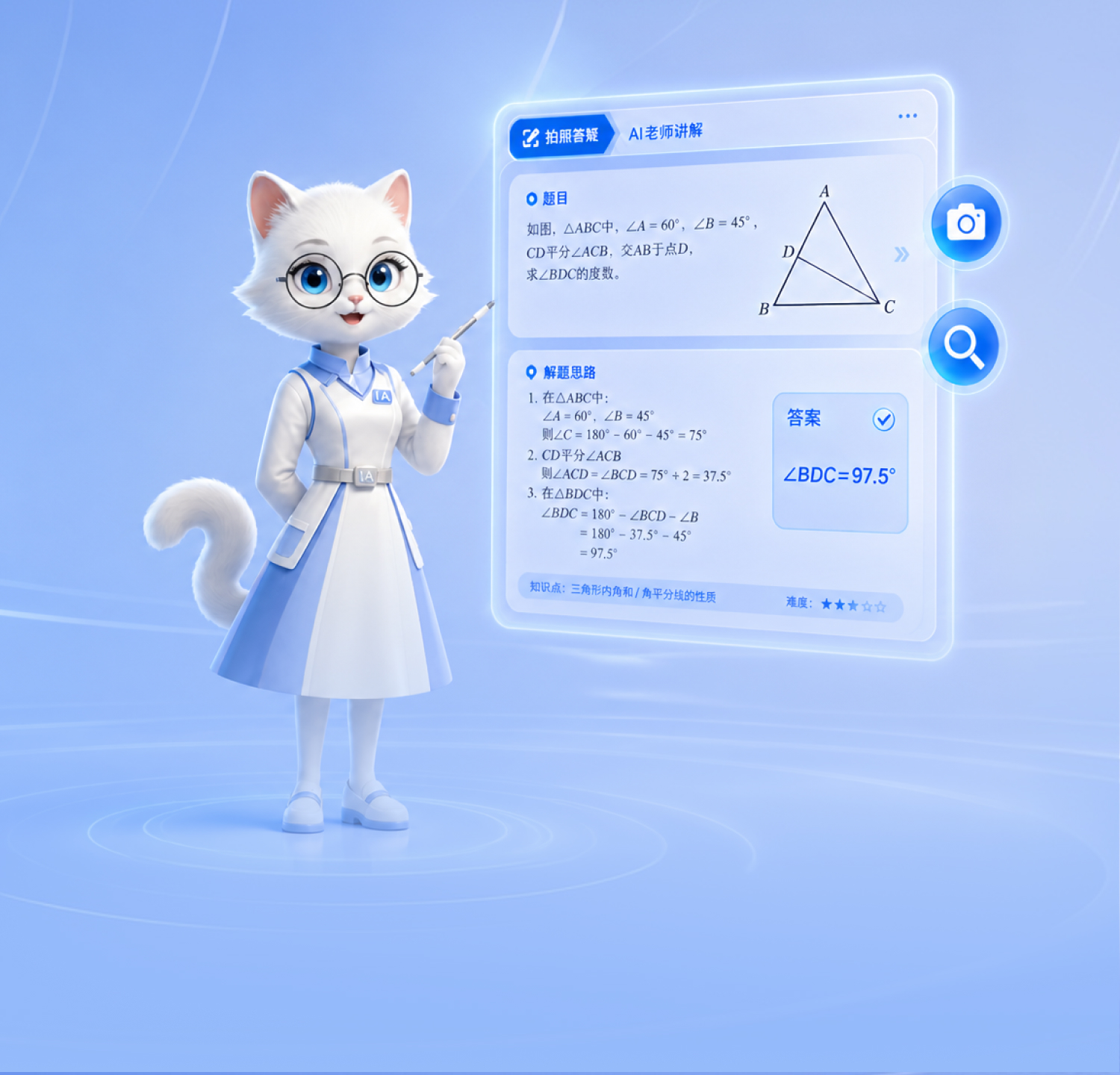 知知猫